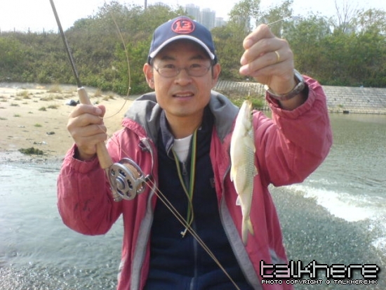 DSC00315.JPG