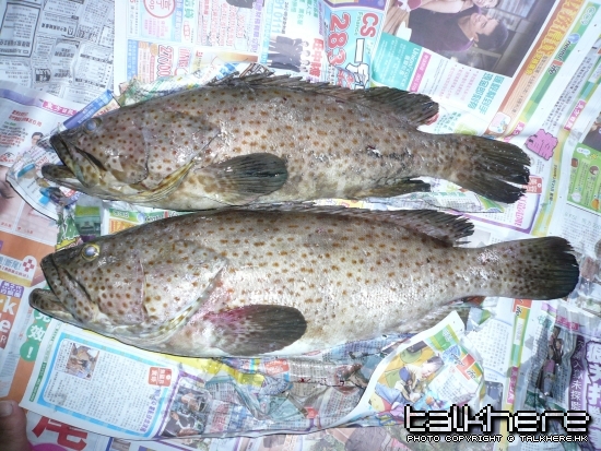 回家才映,上面個条5斤,下面条8斤