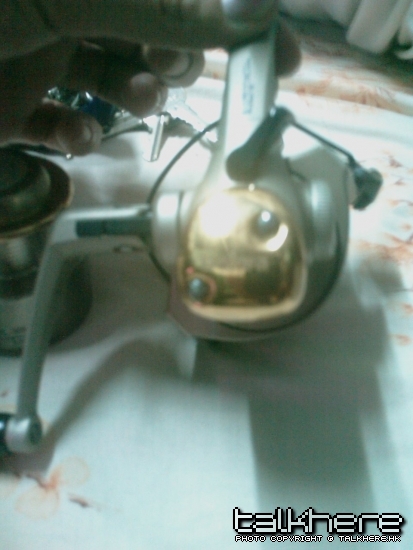 IMAG0256.jpg