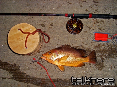 30cm