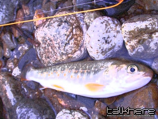 SANY0060.JPG