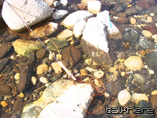 SANY0135.JPG