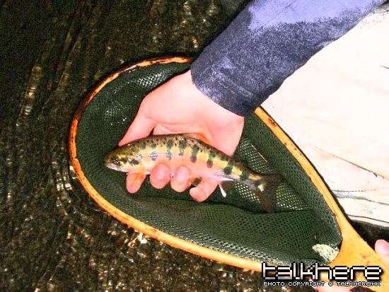 20070616_034.JPG