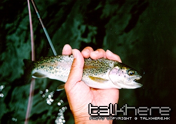 r_trout4.jpg