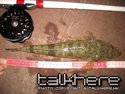 210209牛秋.JPG
