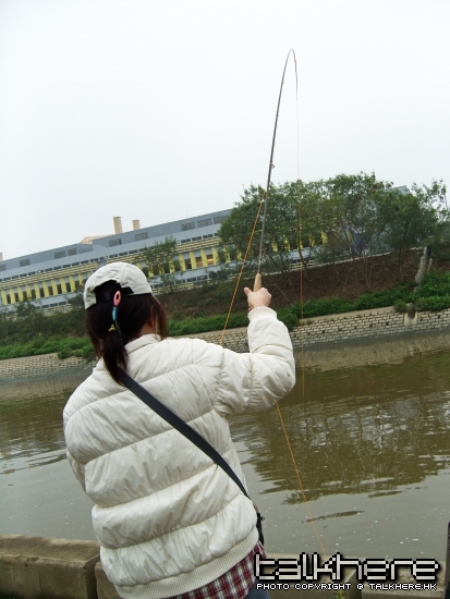 SN201507.JPG