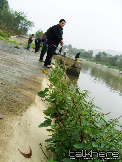 SN201518.JPG