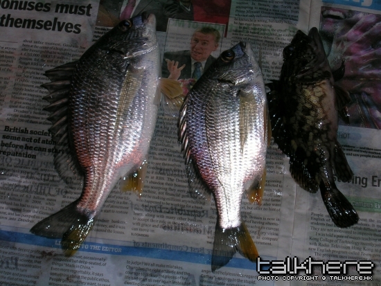 DSCN0886.JPG