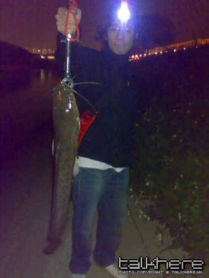 14032009332.jpg