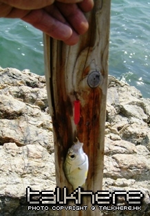 S7002745.JPG