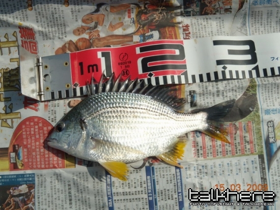 DSCN5838.JPG