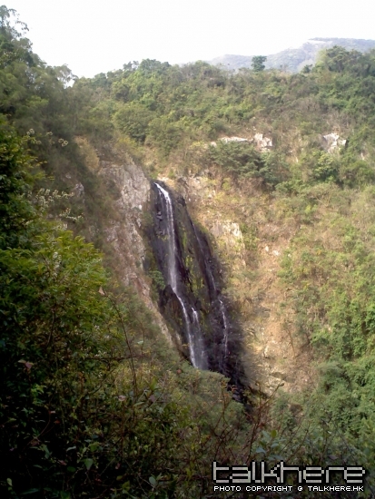 IMG322.jpg