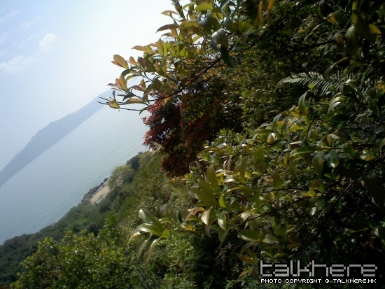 IMG325.jpg