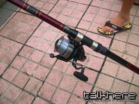 8.JPG