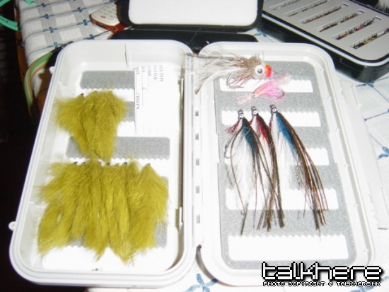 New fly box & Flies