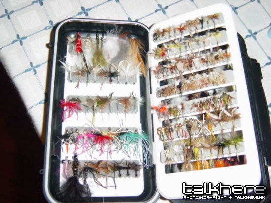 Dry and wet flies