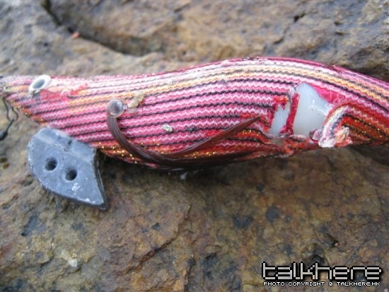 照片 040 (Small).jpg