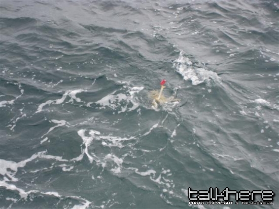 照片 004 (Small).jpg