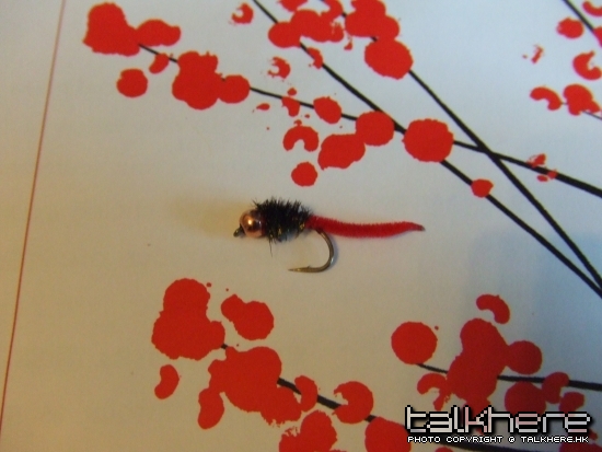 DSCF4620.JPG