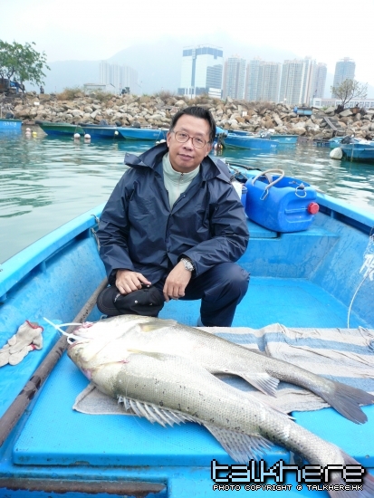 棠哥話排排排坐