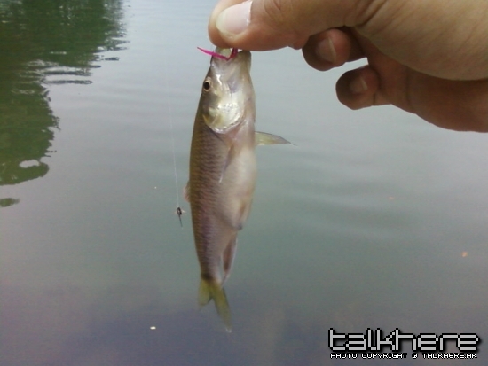 相片-0005.jpg