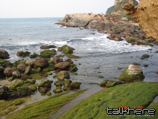 野柳地質公園內之磯前打釣點