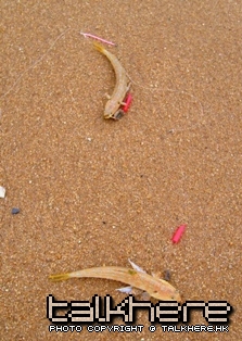 S7002808.JPG