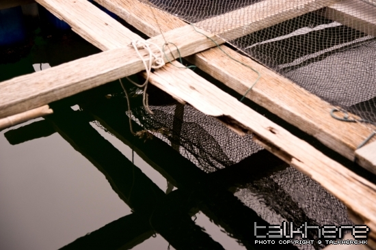 20090326 038-2.jpg