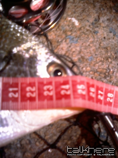 IMAG0253.jpg