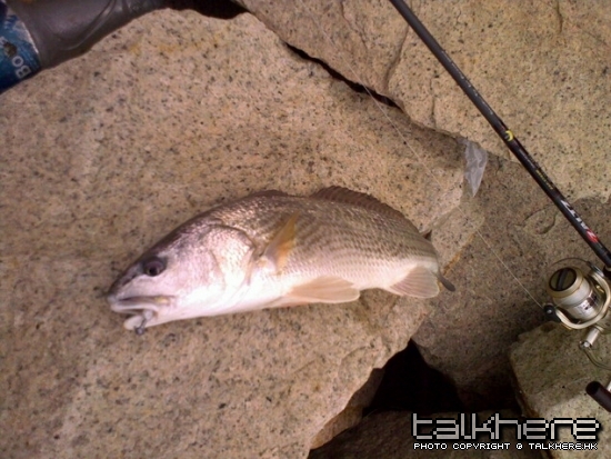 20090411028.jpg