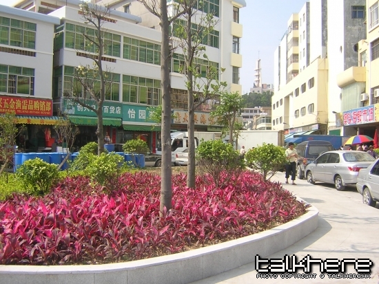 DSCN5698.JPG