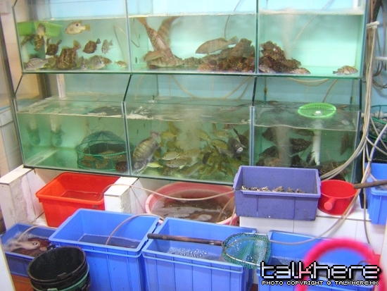 DSCN5709.JPG