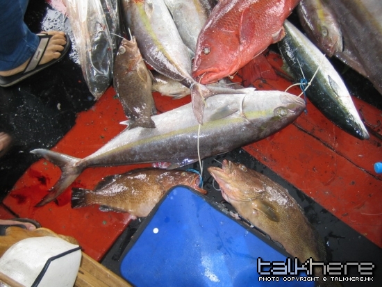 魚獲.5.jpg