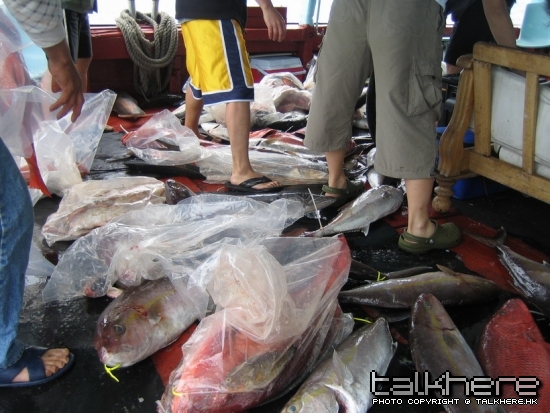 魚獲.2.jpg