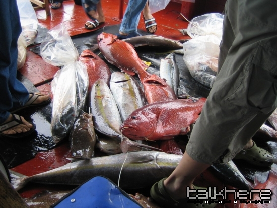 魚獲.4.jpg