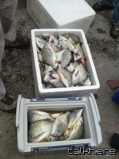 P13-04-09_12.30[02].JPG