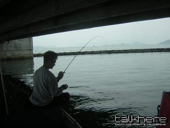 DSCN5776.JPG