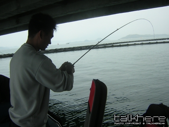 DSCN5767.JPG