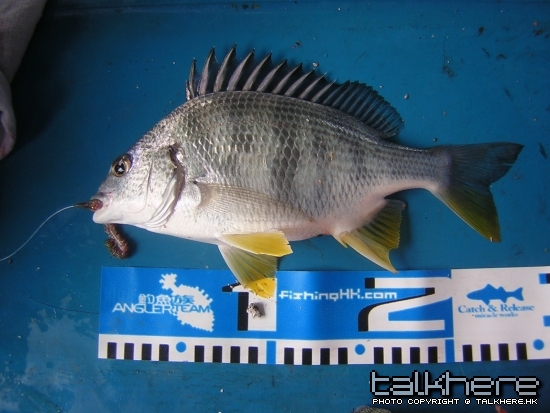 DSCN5787.JPG