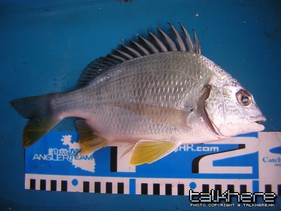 DSCN5798.JPG