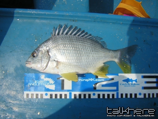 DSCN5806.JPG