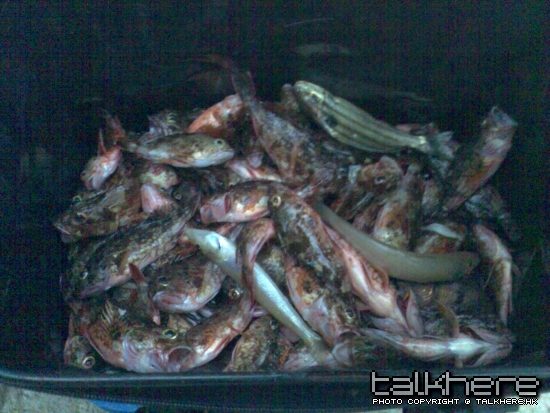 圖像067.jpg
