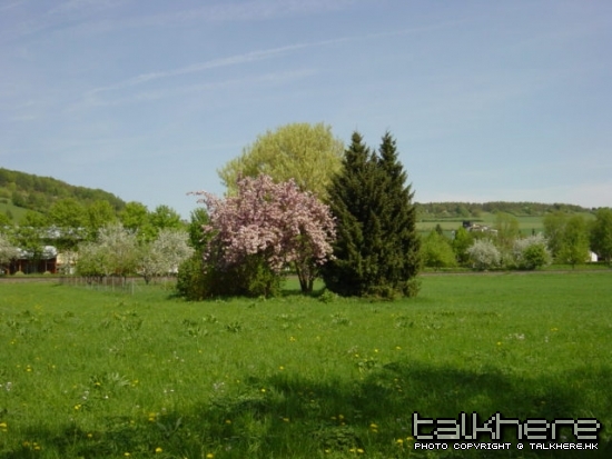 DSC01763.JPG