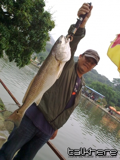 26042009001.jpg