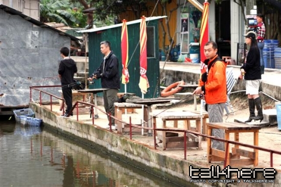 _MG_2214.JPG