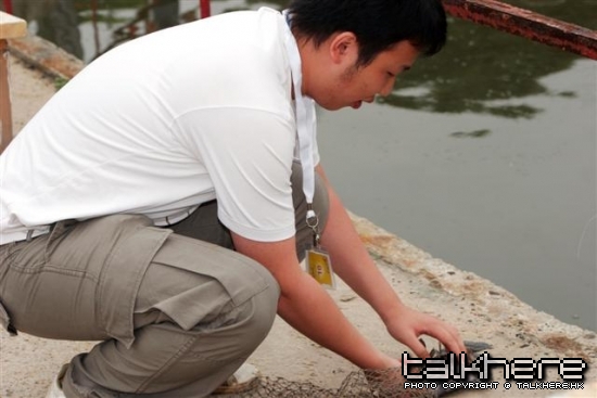 _MG_2290.JPG