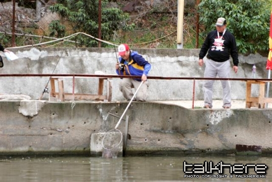 _MG_2306.JPG