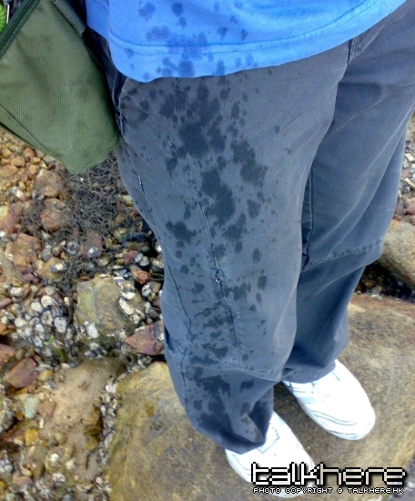 02052009781.jpg