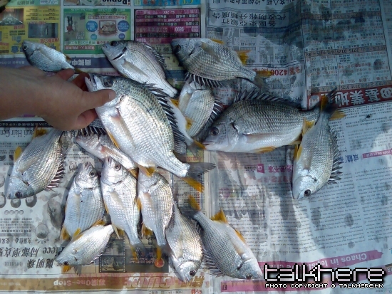 圖像170.jpg