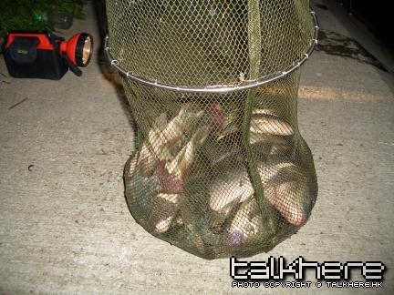 CIMG0138.JPG